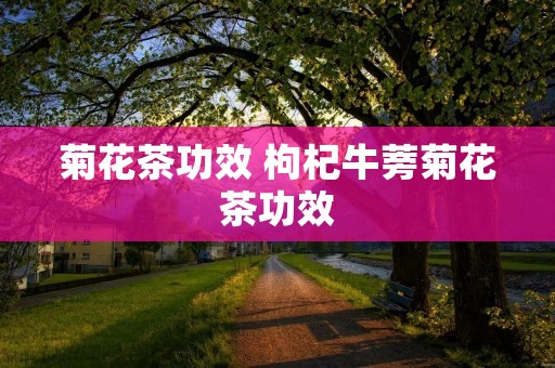 菊花茶功效 枸杞牛蒡菊花茶功效