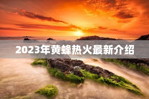 2023年黄蜂热火最新介绍