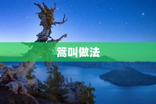 篙叫做法:传统技艺的传承与创新 篙叫做法:传统技艺的传承与创新