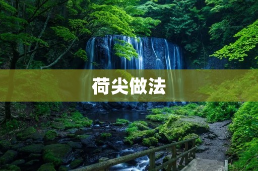 荷尖做法：让你轻松掌握制作荷兰式甜点的技巧
