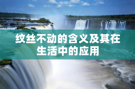 纹丝不动的含义及其在生活中的应用