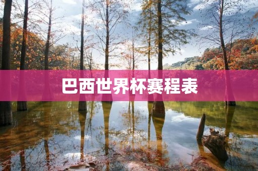 巴西世界杯赛程表:2014年世界杯的全面解析 巴西世界杯赛程表:2014年世界杯的全面解析