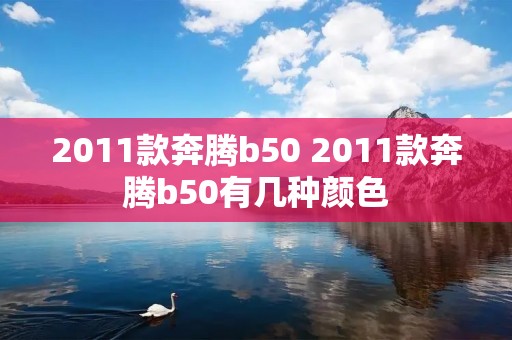 2011款奔腾b50 2011款奔腾b50有几种颜色