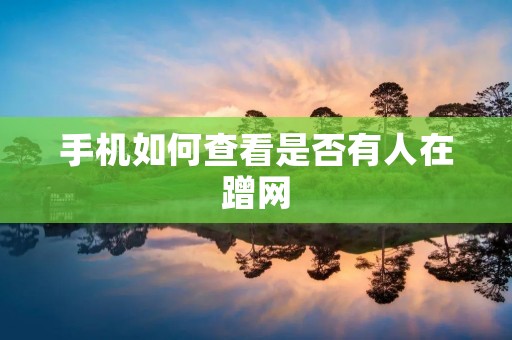 手机如何查看是否有人在蹭网