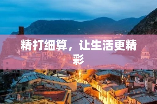精打细算，让生活更精彩