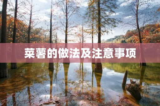 菜薯的做法及注意事项