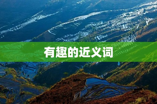 有趣的近义词