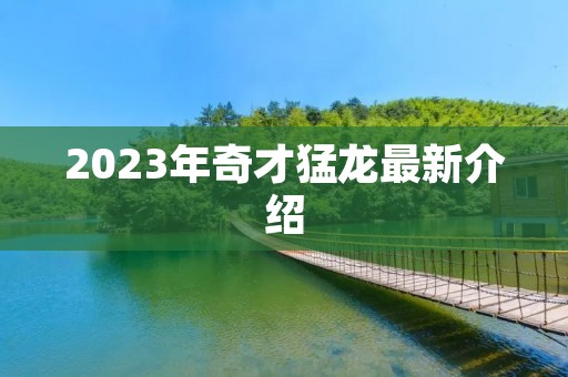 2023年奇才猛龙最新介绍