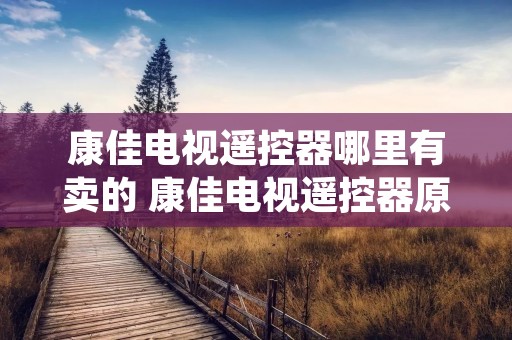 康佳电视遥控器哪里有卖的 康佳电视遥控器原装多少钱