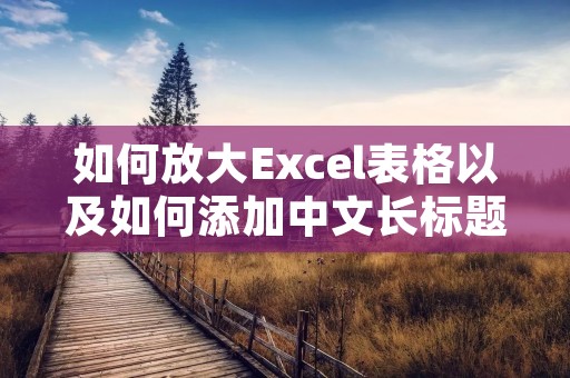 如何放大Excel表格以及如何添加中文长标题