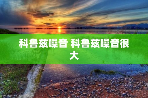 科鲁兹噪音 科鲁兹噪音很大