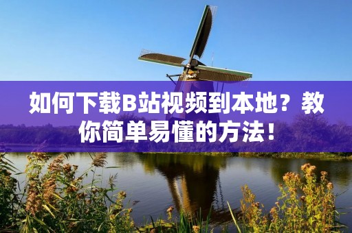 如何下载B站视频到本地?教你简单易懂的方法!