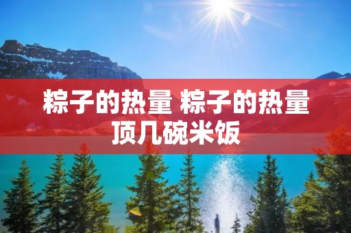 粽子的热量 粽子的热量顶几碗米饭