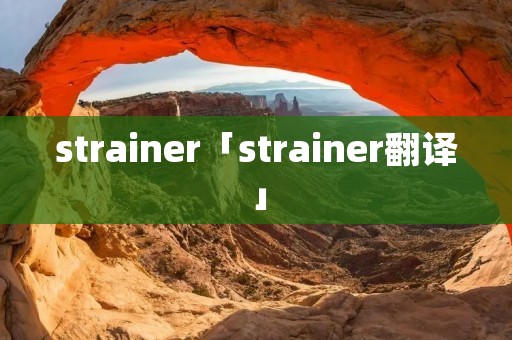 strainer「strainer翻译」