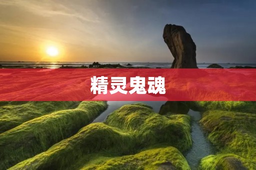 精灵鬼魂:神秘的存在 精灵鬼魂:神秘的存在