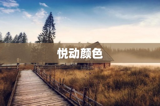 悦动颜色：让生活更加多彩缤纷