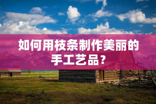 如何用枝条制作美丽的手工艺品？