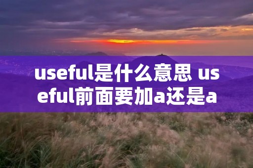 useful是什么意思 useful前面要加a还是an