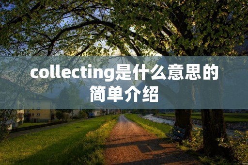 collecting是什么意思的简单介绍