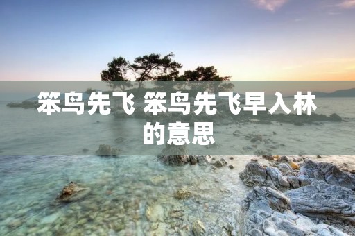 笨鸟先飞 笨鸟先飞早入林的意思