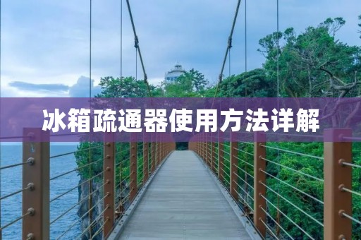 冰箱疏通器使用方法详解 冰箱疏通器使用方法详解
