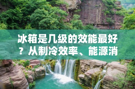 冰箱是几级的效能最好?从制冷效率、能源消耗、保鲜效果等多个方面分析 冰箱是几级的效能最好?从制冷效率、能源消耗、保鲜效果等多个方面分析
