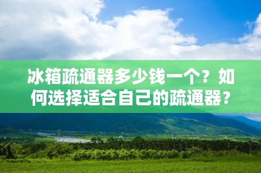 冰箱疏通器多少钱一个？如何选择适合自己的疏通器？