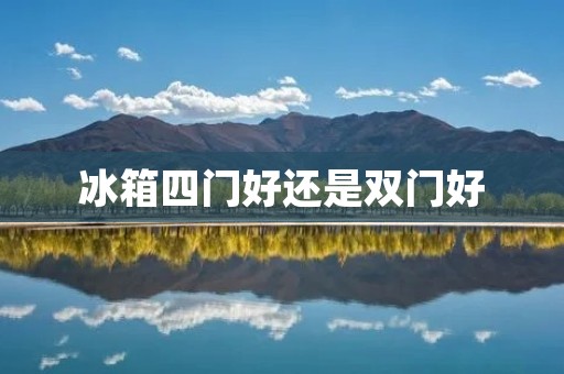 冰箱四门好还是双门好：如何选择最适合你的冰箱？