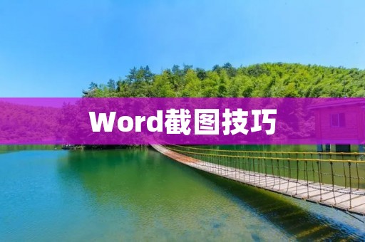 Word截图技巧:如何截取整个页面