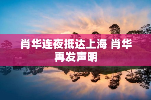 肖华连夜抵达上海 肖华再发声明