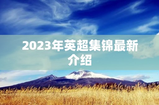 2023年英超集锦最新介绍