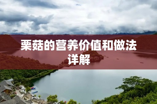 栗菇的营养价值和做法详解