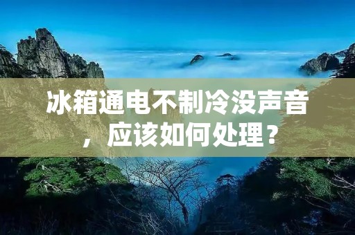 冰箱通电不制冷没声音,应该如何处理? 冰箱通电不制冷没声音,应该如何处理?