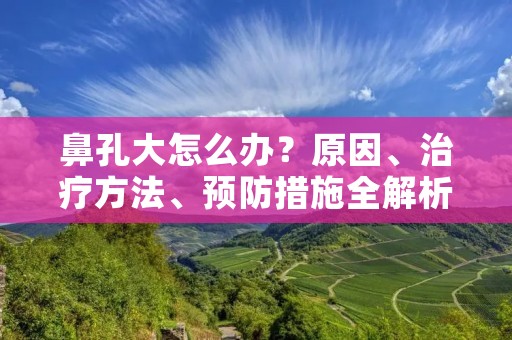鼻孔大怎么办？原因、治疗方法、预防措施全解析！