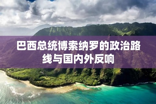 巴西总统博索纳罗的政治路线与国内外反响