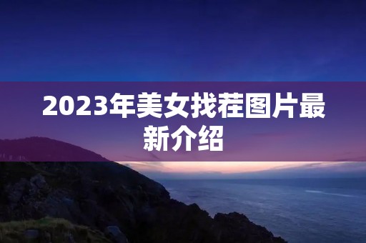 2023年美女找茬图片最新介绍