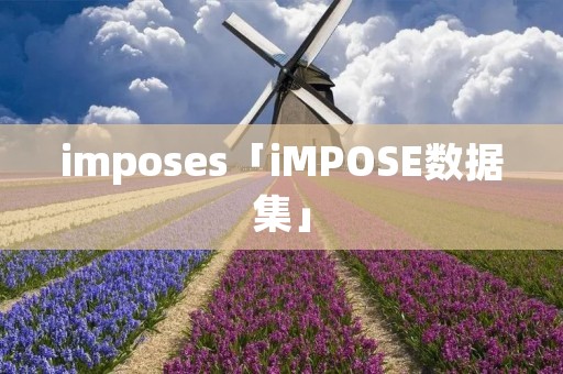 imposes「iMPOSE数据集」