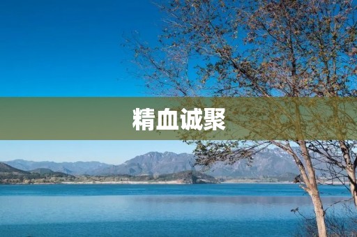精血诚聚：强身健体的秘诀