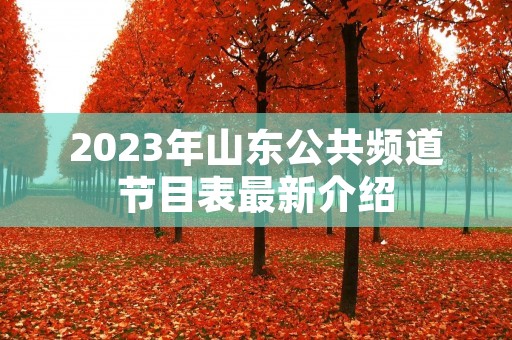 2023年山东公共频道节目表最新介绍