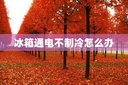 冰箱通电不制冷怎么办 冰箱通电不制冷怎么办