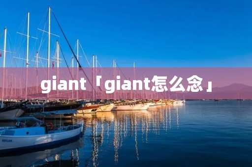 giant「giant怎么念」