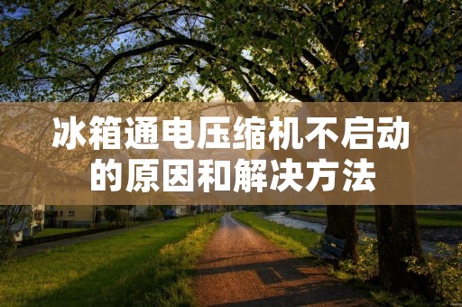 冰箱通电压缩机不启动的原因和解决方法 冰箱通电压缩机不启动的原因和解决方法