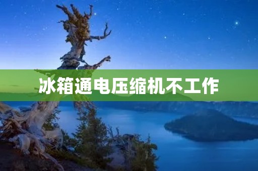 冰箱通电压缩机不工作:原因及解决方法 冰箱通电压缩机不工作:原因及解决方法