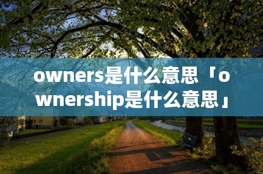 owners是什么意思「ownership是什么意思」