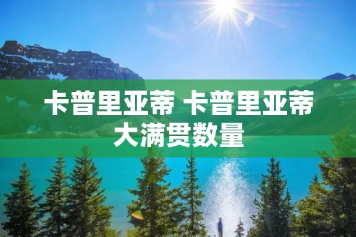 卡普里亚蒂 卡普里亚蒂大满贯数量