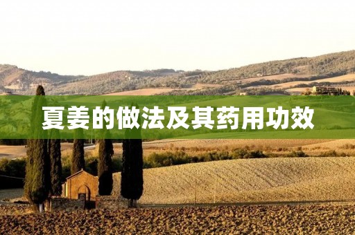 夏姜的做法及其药用功效 夏姜的做法及其药用功效