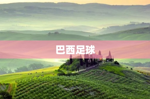 巴西足球：传统与现代