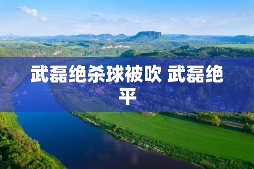 武磊绝杀球被吹 武磊绝平