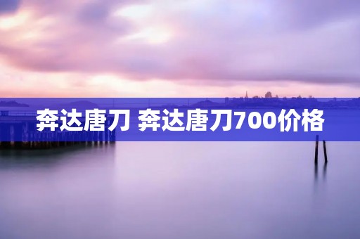 奔达唐刀 奔达唐刀700价格 奔达唐刀 奔达唐刀700价格