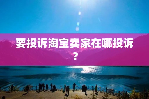 要投诉淘宝卖家在哪投诉?